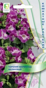 Торения Мармелад Малиновый 5шт Торения Мармелад Малиновый 5шт