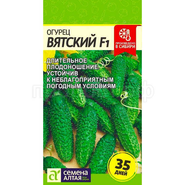 Огурец Вятский F1 6шт