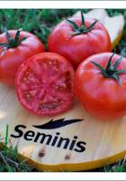 Томат Мей Шуай F1 500шт