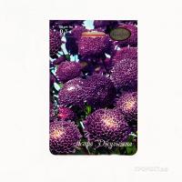 Астра Помпонная синяя Джульетта 20*0,5 