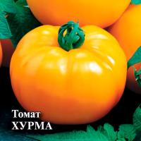 Томат Хурма 5 г