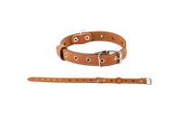 Ошейник кожа 25мм 1сл Стандарт безразмерный до 56см/010125 Ошейник кожа 25мм 1сл Стандарт безразмерный до 56см/010125