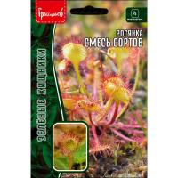Редкие растения Росянка Смесь Сортов 5шт  Редкие растения Росянка Смесь Сортов 5шт