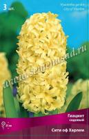 Гиацинт Садовый Сити ов Харлем (14/15) 3шт. Гиацинт Садовый Сити ов Харлем (14/15) 3шт.