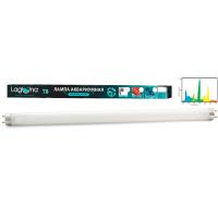 Лампа T8 40W белая люминесцентная 40Вт 1198мм Laguna/73724018/ Лампа T8 40W белая люминесцентная 40Вт 1198мм Laguna/73724018/