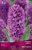 Гиацинт Садовый Мисс Сайгон (14/15) 3шт. Гиацинт Садовый Мисс Сайгон (14/15) 3шт.