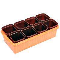 Рассадник набор 8*250мл Дом и Дача светло-желтый с ящиком д/рассады /10шт/Рад