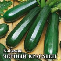 Кабачок Черный красавец 25 г