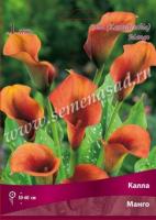 Калла Манго 14/16 Калла Манго 14/16
