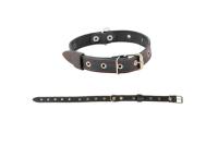 Ошейник кожа 25мм 1сл Стандарт безразмерный до 56см/010125 Ошейник кожа 25мм 1сл Стандарт безразмерный до 56см/010125