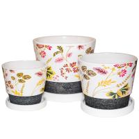 ГЛОСС комп из 3-х DC 7031/ФЦ ГЛОСС комп из 3-х DC 7031/ФЦ