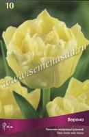 Тюльпан Махровый ранний Верона  (11/12) 10 шт Тюльпан Махровый ранний Верона  (11/12) 10 шт