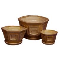 Бонсайка из 3-х коричневый