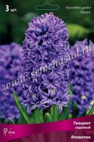 Гиацинт Садовый Атлантик (14/15) 3шт. Гиацинт Садовый Атлантик (14/15) 3шт.