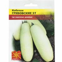 Кабачок Грибовские 37 2г Кабачок Грибовские 37 2г
