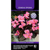 Бегония вечноцветущая бронзоволистная Бада Бум Пинк 15шт
