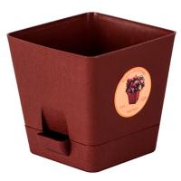 Кашпо Азалия 1л квадратное с прикрепленным поддоном коричневый