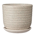 Пряности белый бук №3 2,9л