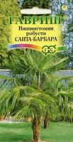 Вашингтония мощная Санта-Барбара 3шт