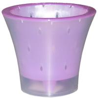 Кашпо для орхидей Ванда 2л прозрачный с фиолетовой вставкой ВД17-05