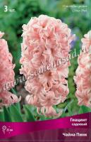 Гиацинт Садовый Чайна Пинк (14/15) 3шт. Гиацинт Садовый Чайна Пинк (14/15) 3шт.