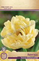 Тюльпан Махровый ранний Авангард (11/12) 10 шт Тюльпан Махровый ранний Авангард (11/12) 10 шт