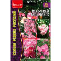 Редкие растения Роза китайская Angel Wings 7шт  Редкие растения Роза китайская Angel Wings 7шт