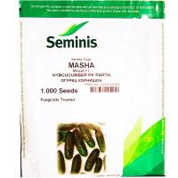 Огурец Маша F1 1000 шт Seminis