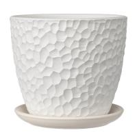 Манго белый бутон №7 13л