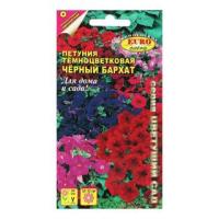 Петуния Черный бархат смесь 0,04г