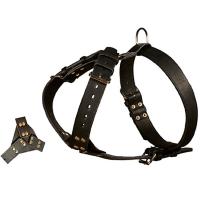 Шлейка кожа 45мм с треугольником двойная шея 45-69см грудь 82-98см/01007011/Каскад Шлейка кожа 45мм с треугольником двойная шея 45-69см грудь 82-98см/01007011/Каскад