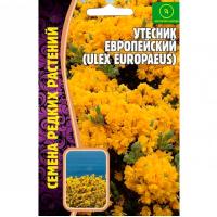 Утесник Европейский 30 шт Утесник Европейский 30 шт