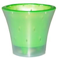 Кашпо для орхидей Ванда 2л прозрачный с зеленой вставкой ВД17-03
