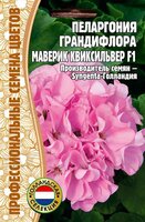 Пеларгония грандифлора Маверик Квиксильвер F1 3шт Пеларгония грандифлора Маверик Квиксильвер F1 3шт