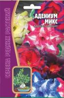 Адениум Микс 3 шт