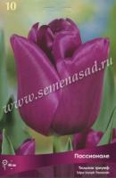 Тюльпан Триумф Пассионале (11/12) 10 шт Тюльпан Триумф Пассионале (11/12) 10 шт