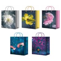 ПБР55729 Пакет подарочный 22*31 микс ламинированный /20шт/