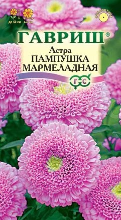 Астра Пампушка мармеладная 0,3 г, помпонная розовая  Астра Пампушка мармеладная 0,3 г, помпонная розовая
