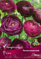 Лютик азиатский Пёпл 7-8 10шт