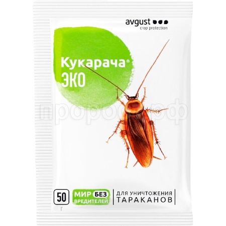 кукарача от тараканов.jpg кукарача от тараканов.jpg