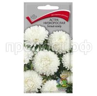 Астра-низкорослая-Белый-ковер-0,2г-Поиск