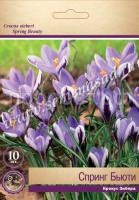 Крокус Спринг Бьюти
