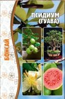 Псидиум (Гуава) 10 шт (Бонсай)