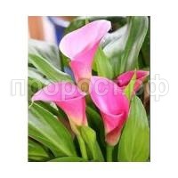 o0YkGCn3EOoHIy3lZJKVQ o0YkGCn3EOoHIy3lZJKVQ