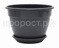 Антик   (2) Антик   (2)