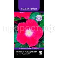 С175919 С175919
