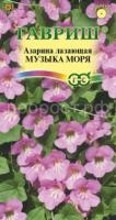 музыка моря музыка моря