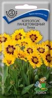 Кореопсис ланцетовидный Потеха Кореопсис ланцетовидный Потеха