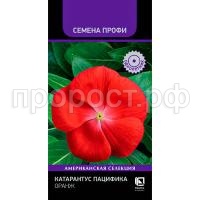 С175916 С175916