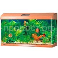 З179263_0 З179263_0